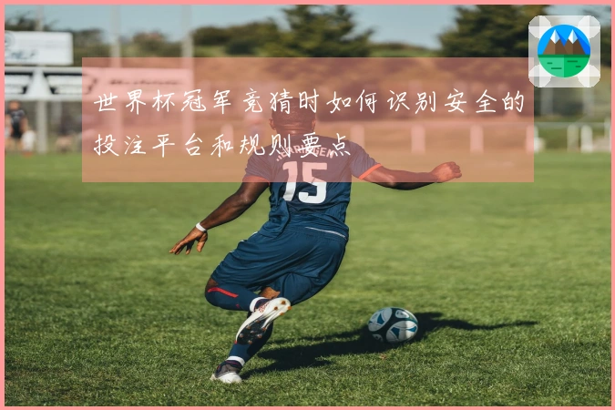 世界杯冠军竞猜时如何识别安全的投注平台和规则要点