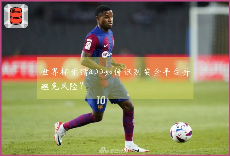 世界杯竞猜app如何识别安全平台并避免风险？