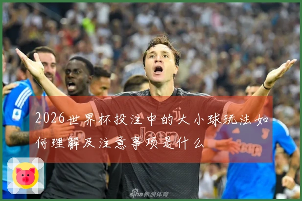 2026世界杯投注中的大小球玩法如何理解及注意事项是什么